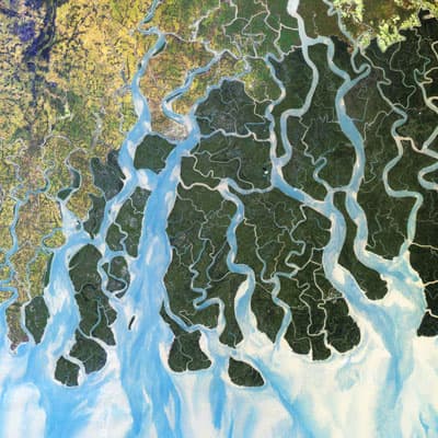 River delta