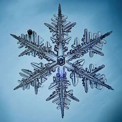 Snowflake