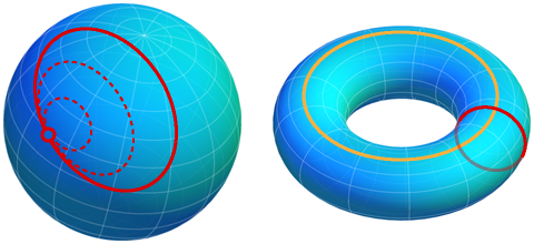 Rubber bands on sphere and torus